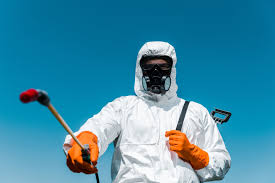 Best Outdoor Pest Control  in Patchogue, NY